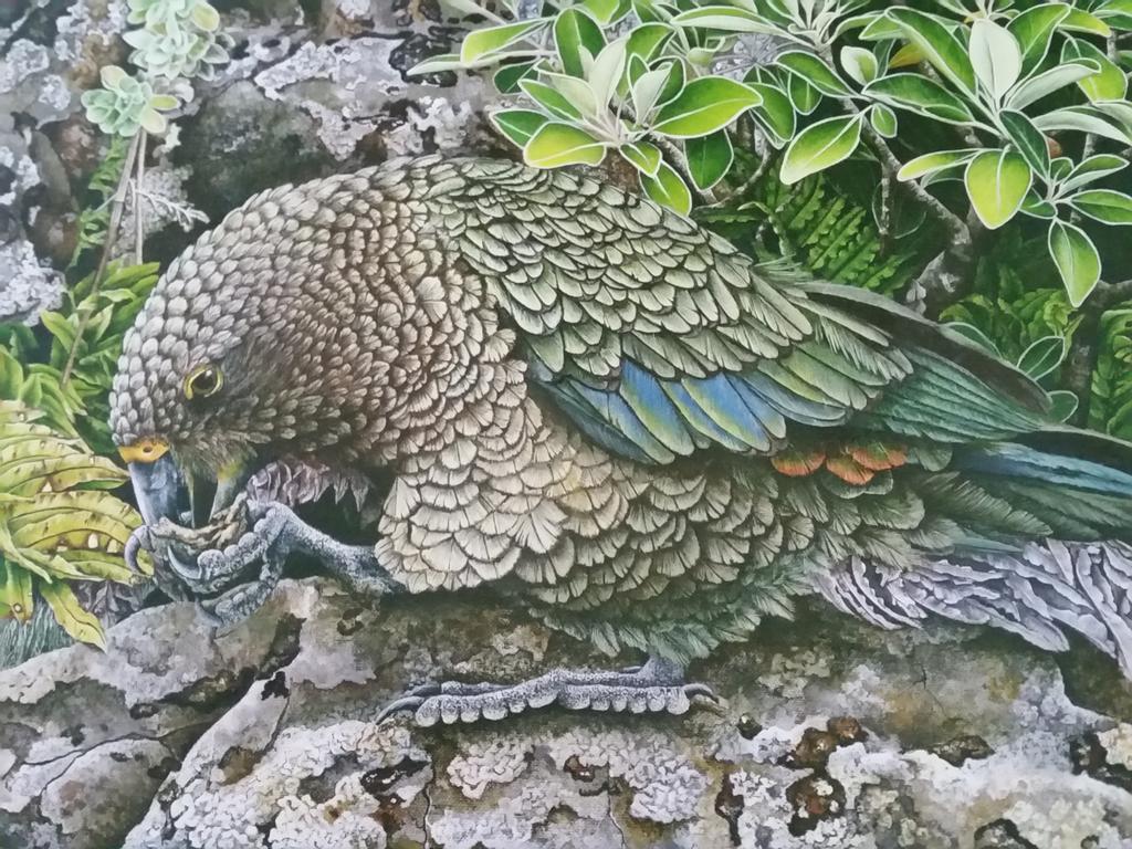 Kea Cottage Te Anau Exteriér fotografie